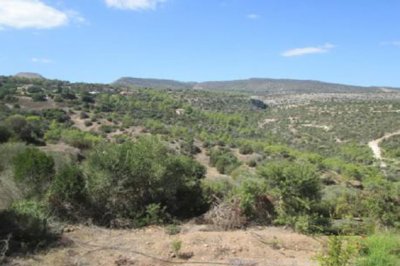 Agricultural Land For Sale  in  Neo Chorio