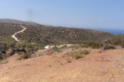 Agricultural Land For Sale  in  Neo Chorio