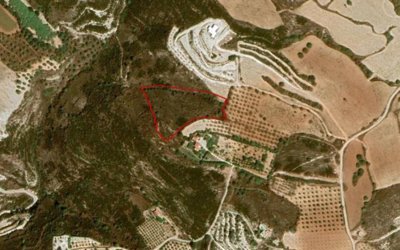 Field in Armou, Paphos