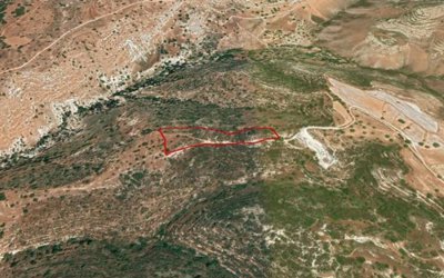 Terre à vendre à Paphos