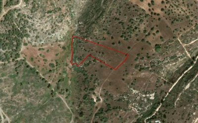 Field in Neo Chorio, Paphos