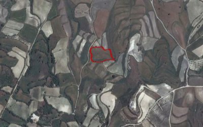 Terre à vendre à Paphos