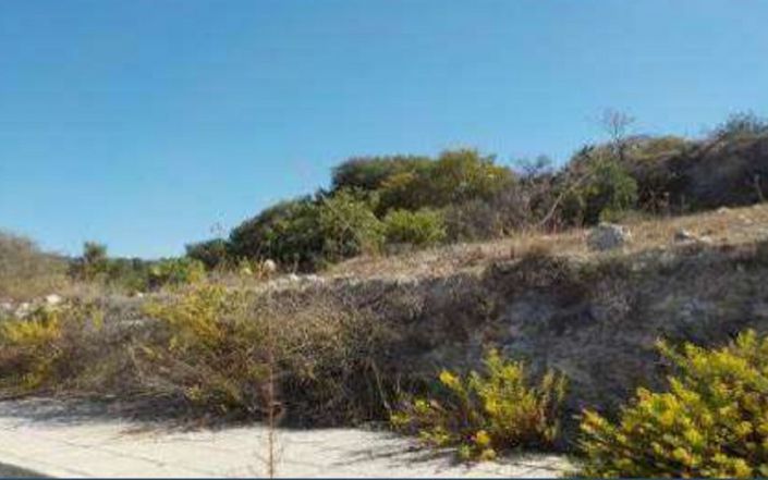 Image No.2-Land for sale