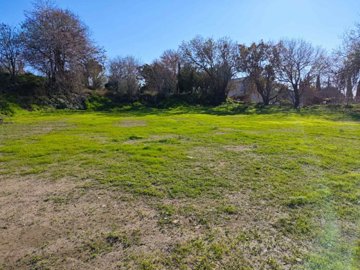 Residential Land  For Sale  in  Tala