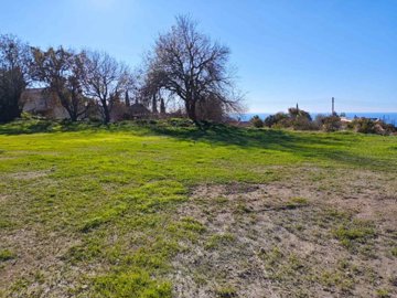 Residential Land  For Sale  in  Tala