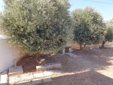 Image No.9-2 Bed Bungalow for sale