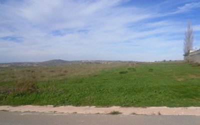 Field with Unutilised Building Density in Kathikas, Paphos