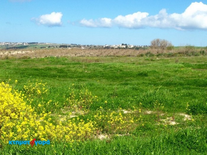 Image No.8-Villa de 4 chambres à vendre à Kathikas