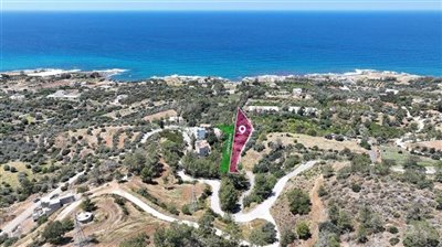 Field in Nea Dimmata, Paphos