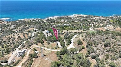 Field in Nea Dimmata, Paphos