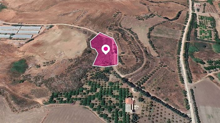 Image No.3-Terre à vendre à Agia Varvara 