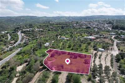 Field in Giolou, Paphos