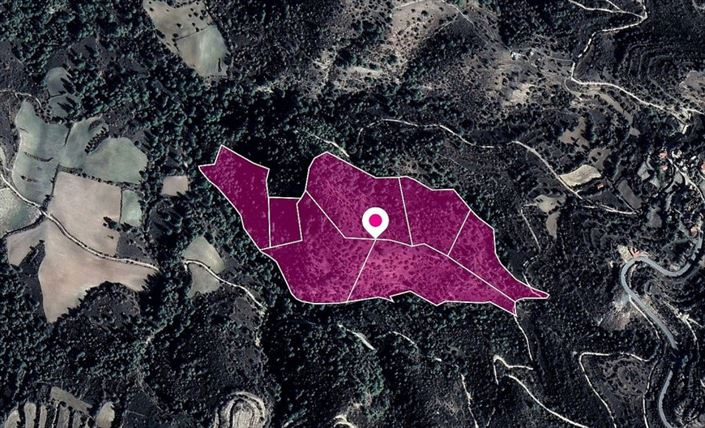 Image No.2-Terre à vendre à Paphos