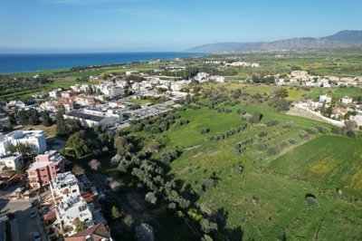 Residential field, Polis Chrysochou, Pafos