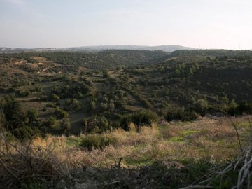 Residential Land  For Sale  in  Neo Chorio
