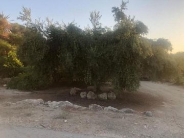 Residential Land  For Sale  in  Polis Chrysochous