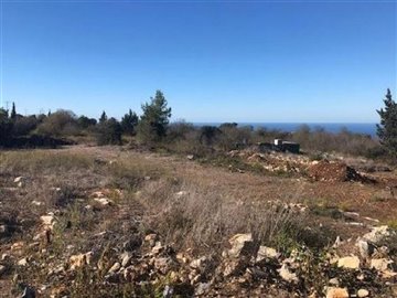 Residential Land  For Sale  in  Drouseia