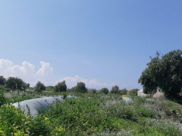 Image No.4-Land for sale