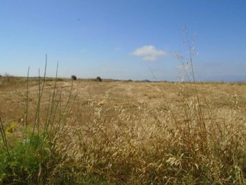 Detached Villa For Sale  in  Kathikas