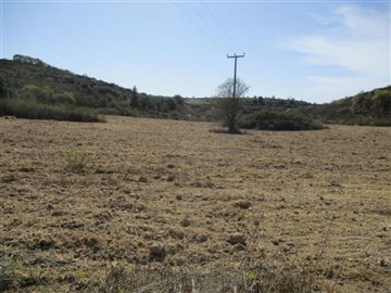 Agricultural Land For Sale  in  Kathikas