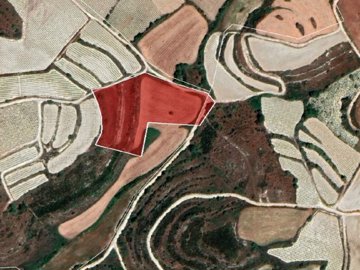 Agricultural Land For Sale  in  Kathikas