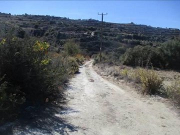 Agricultural Land For Sale  in  Kallepeia