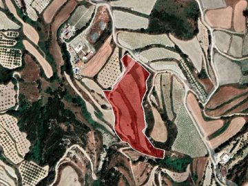 Agricultural Land For Sale  in  Kallepeia