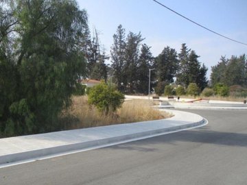 Residential Land  For Sale  in  Mandria
