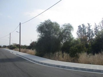 Residential Land  For Sale  in  Mandria