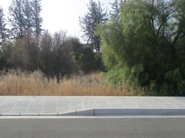Residential Land  For Sale  in  Mandria