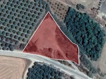 Agricultural Land For Sale  in  Polis Chrysochous