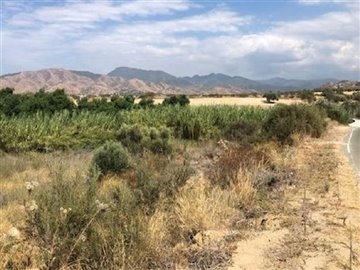 Agricultural Land For Sale  in  Polis Chrysochous