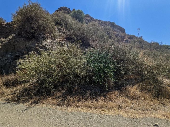 Image No.4-Land for sale