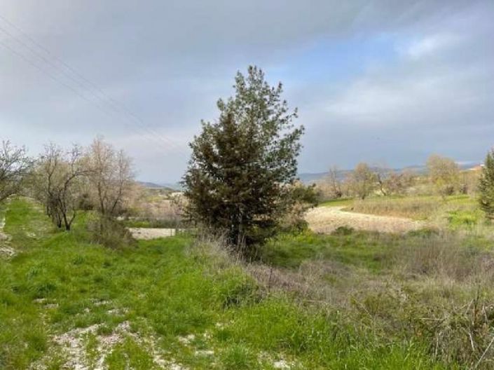 Image No.2-Terre à vendre à Paphos