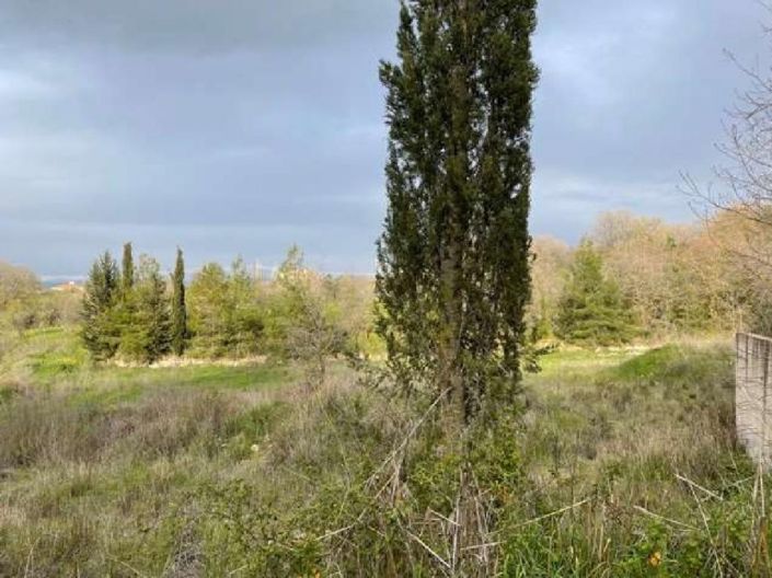 Image No.3-Terre à vendre à Paphos