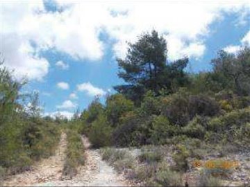 Agricultural Land For Sale  in  Lysos