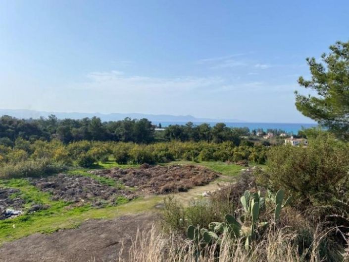 Image No.1-Terre à vendre à Argaka