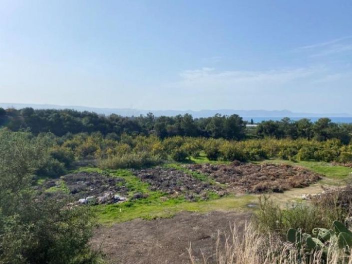 Image No.2-Terre à vendre à Argaka