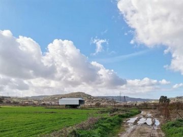 Agricultural Land For Sale  in  Polemi