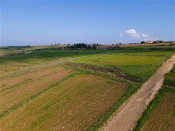 Residential Land  For Sale  in  Arodes