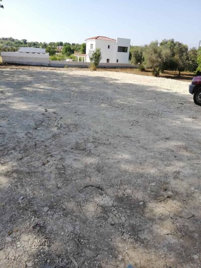 Image No.2-Terre à vendre à Polemi