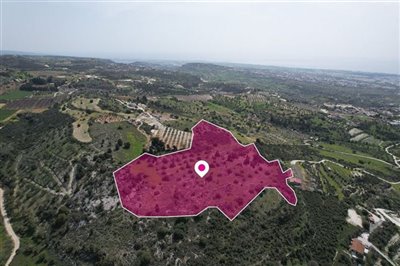 Field in Mesogi, Paphos