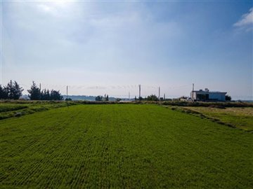 Detached Villa For Sale  in  Select Location