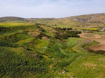 Field - Agia Varvara, Paphos