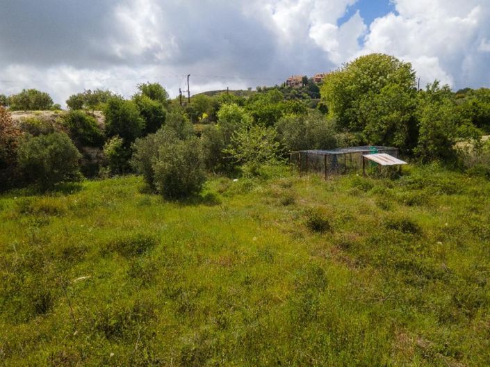 Image No.5-Terre à vendre à Tsada