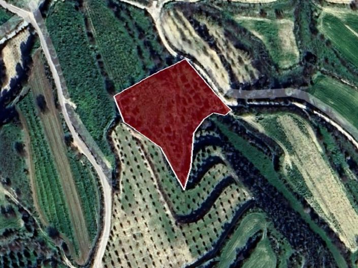 Image No.6-Terre à vendre à Tsada