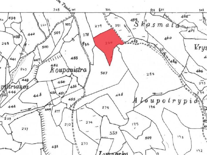 Image No.8-Terre à vendre à Tsada