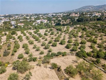 Field - Mesa Chorio, Paphos