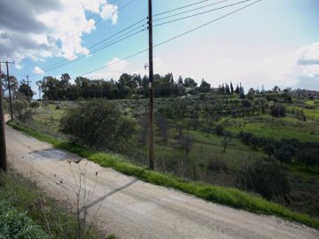Field - Choletria, Paphos