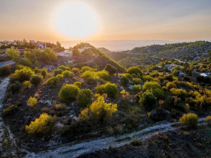 Image No.4-Terre à vendre à Paphos